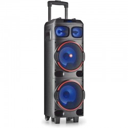 ALTAVOCES NGS WILD DUB 1 300W DOBLE SUBWOOFER 8 LED USB/SD/BLUETOOTH