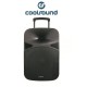 ALTAVOZ AUTOAMPLIFICADO 15" 700W CON BATERIA SERIE PRO COOLSOUND